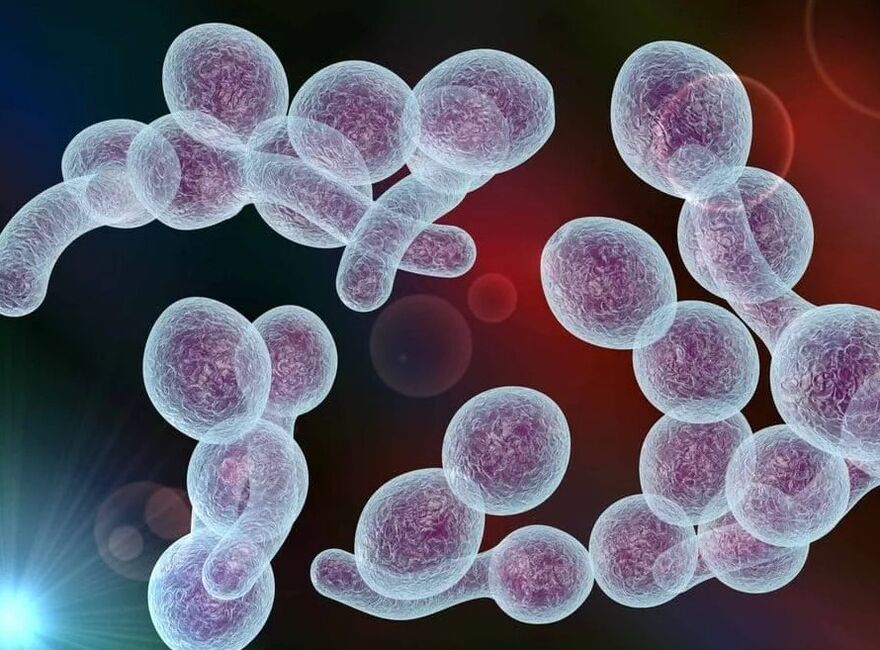 Bakterielle Prostatitis